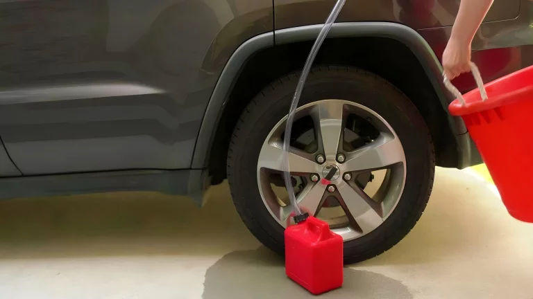 Brunette Girl Loves Hard Cock 