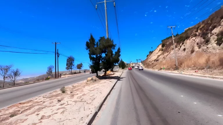 Love In The Open Field 