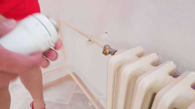 Horny MILF  Tammy Jean Seduces The Repairman 