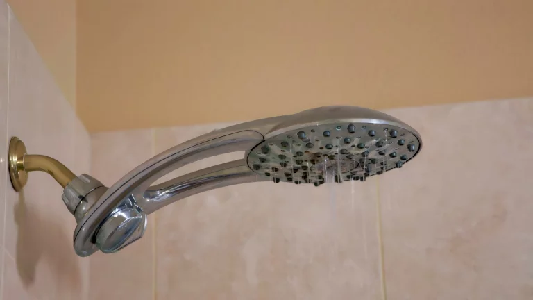 River Lynn Craves For Older Cock 