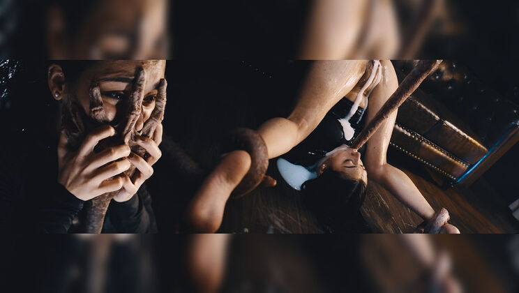 Hentaied - Shelena - No Honour Among Thieves 